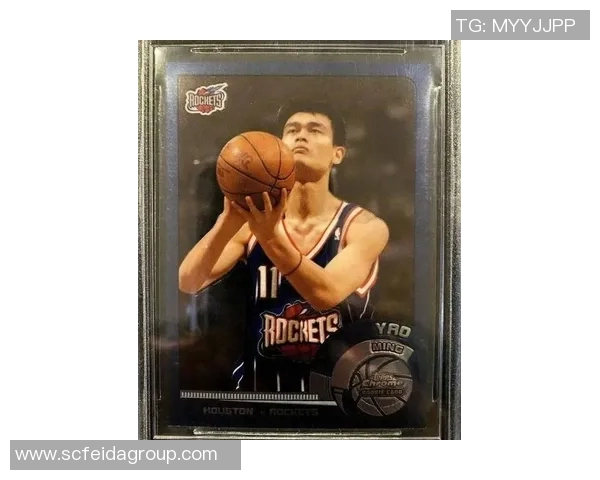 姚明速写头像展现篮球巨星风采与艺术魅力的完美结合 姚明速写头像展现篮球巨星风采与艺术魅力的完美结合