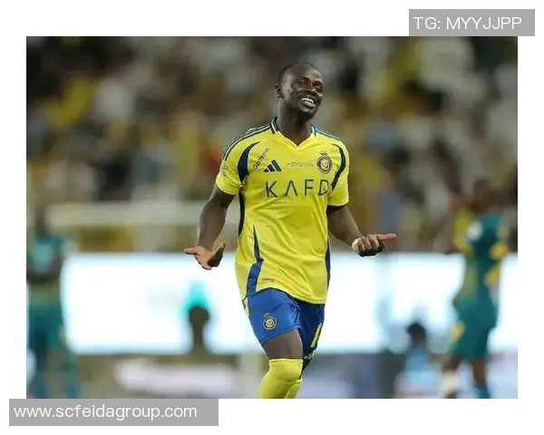 全球足球界的明星球员盘点及其影响力分析