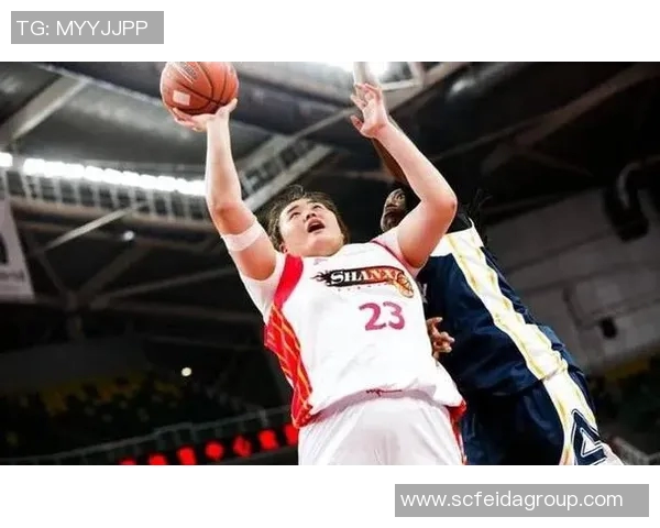 国内体育明星体重最新排名揭晓谁是最轻与最重的运动员