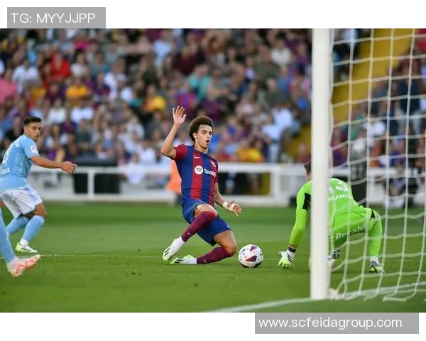 全球足球明星风采大赏及精彩瞬间图片展示 全球足球明星风采大赏及精彩瞬间图片展示